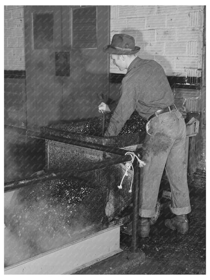 Olive Washing and Pressing in Lindsay California 1942