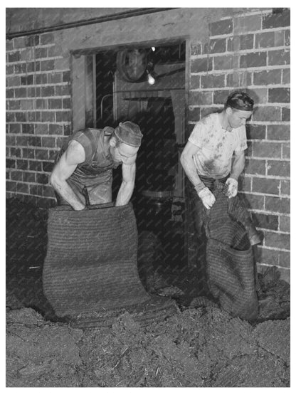 Olive Pulp Removal Process Lindsay California February 1942