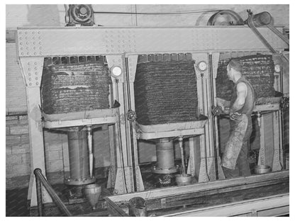 Olive Pulp Hydraulic Presses for Oil Extraction 1942
