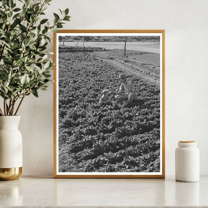 Farm Worker and Son Gathering Greens Tulare County 1942