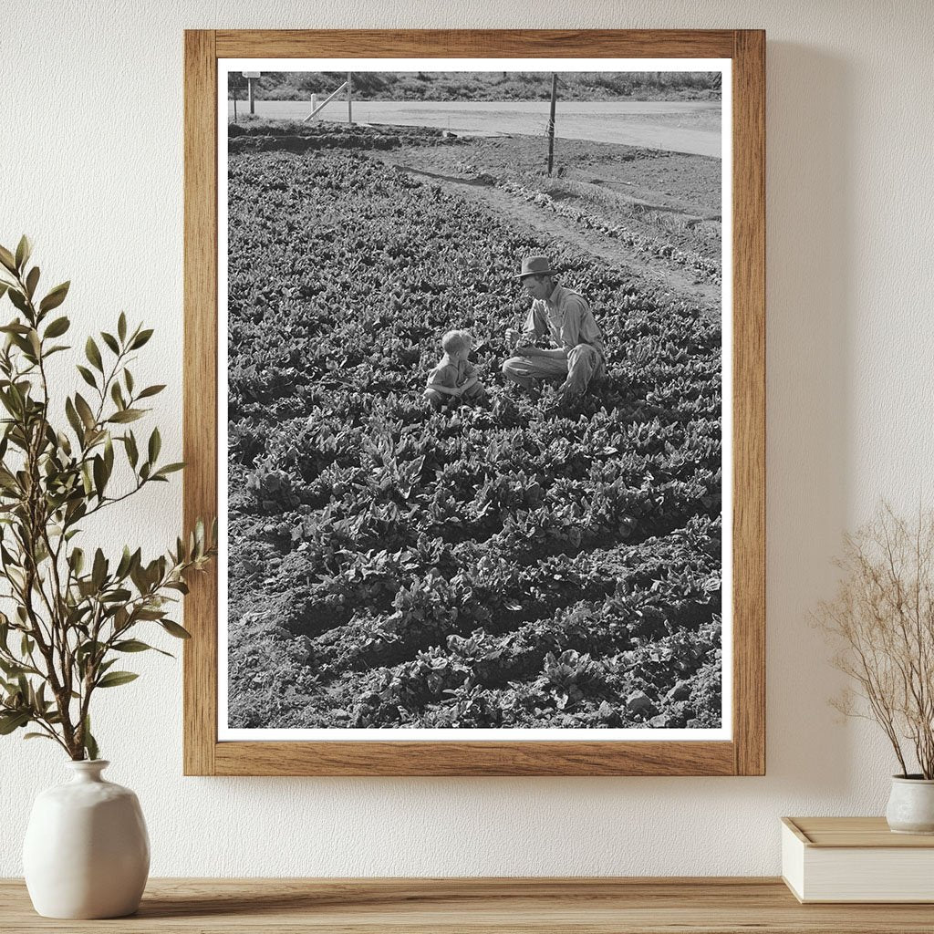 Farm Worker and Son Gathering Greens Tulare County 1942