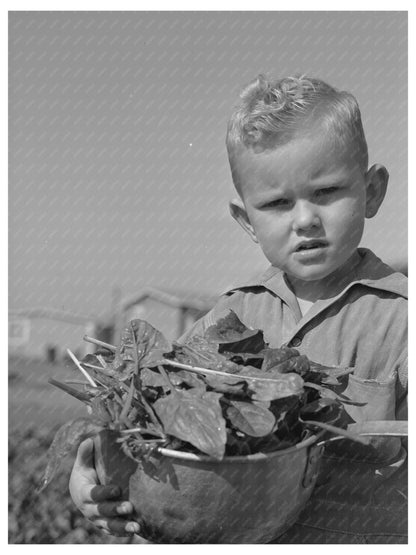 Young Boy in Farm Workers Community Woodville California 1942