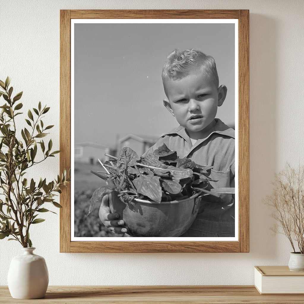 Young Boy in Farm Workers Community Woodville California 1942