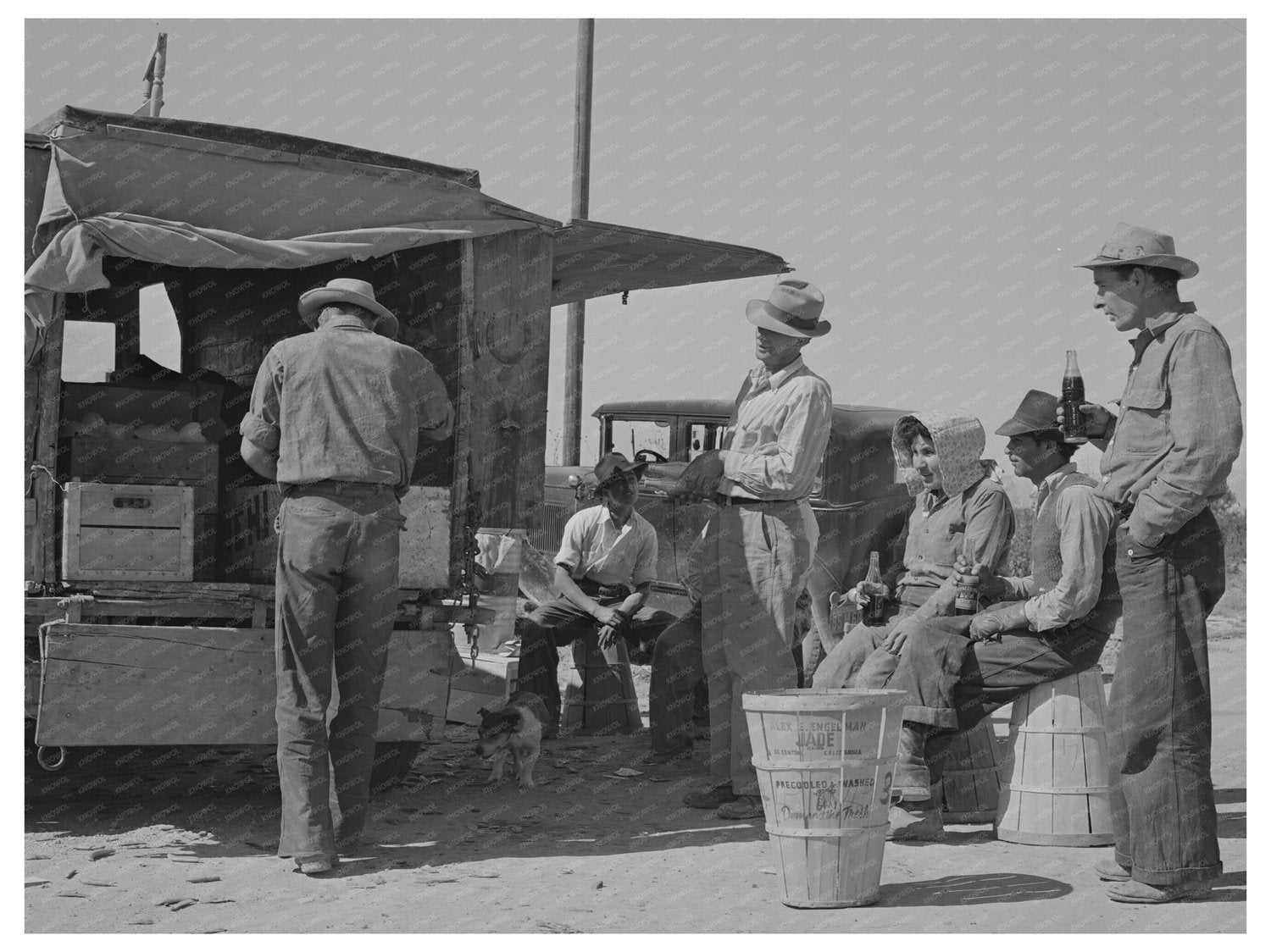 Pea Pickers Break for Soft Drinks Imperial County 1942