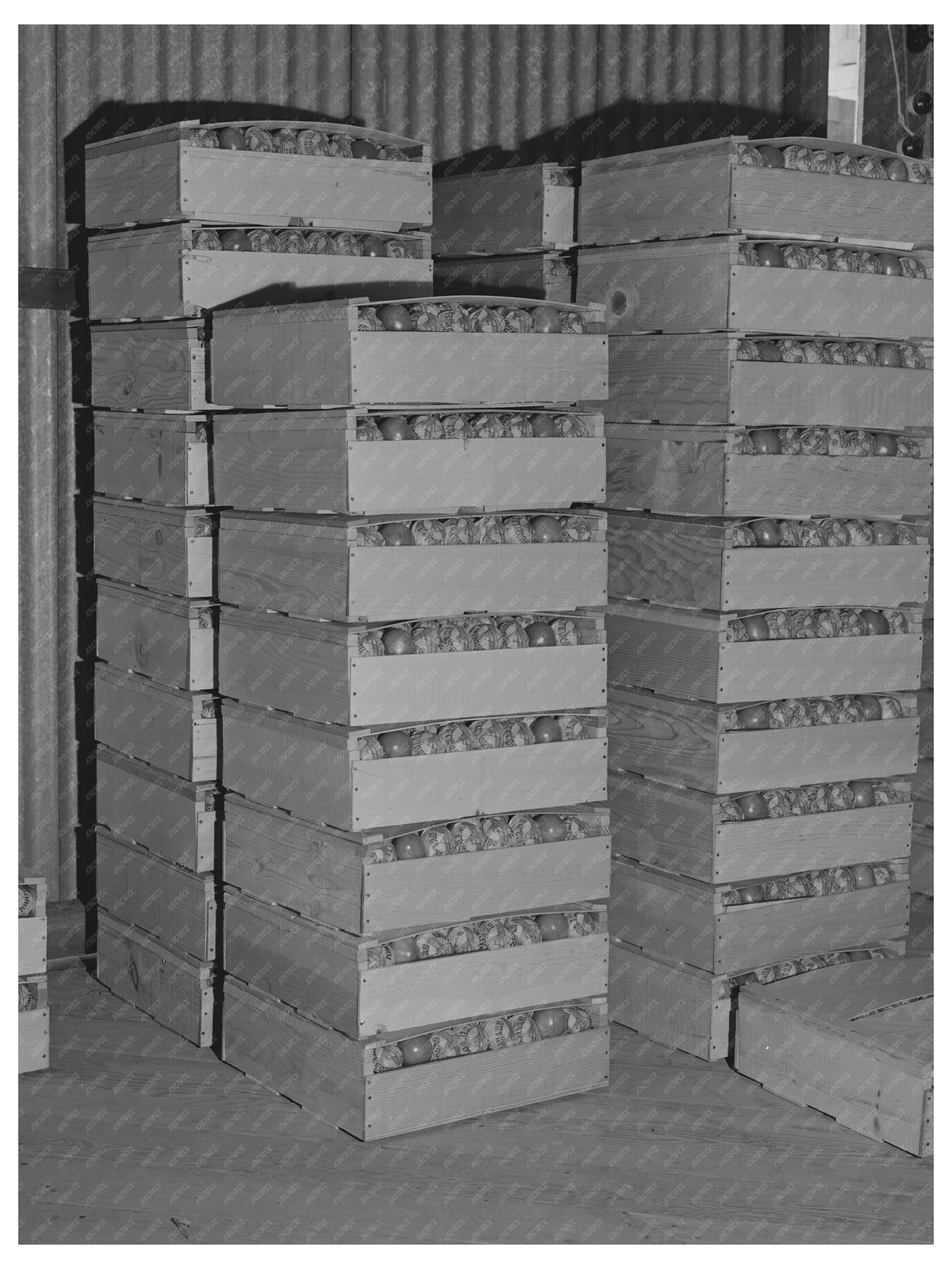 Fresh Tomatoes Crates Imperial County California March 1942