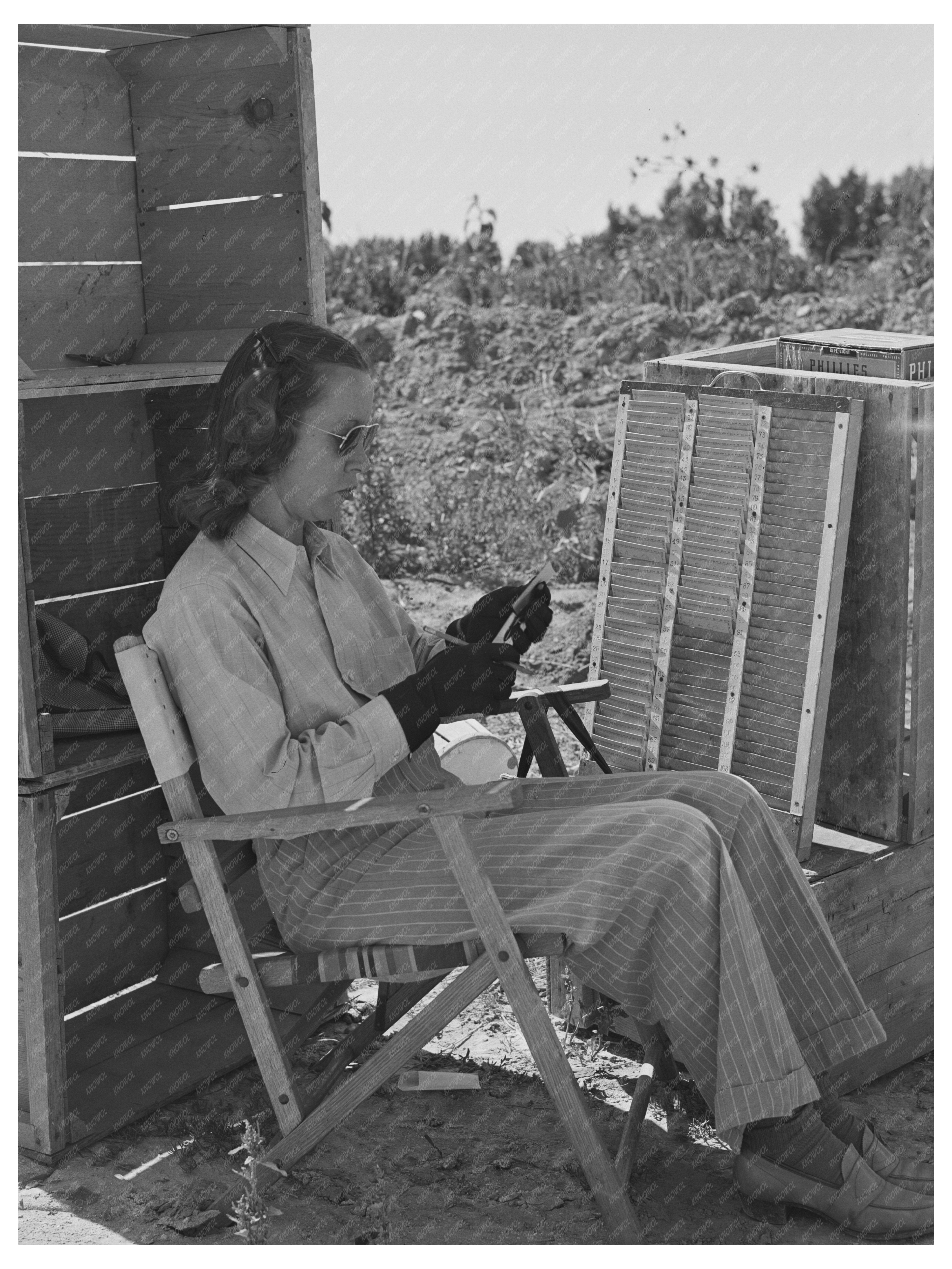 Wife of Farmer with Fresh Peas Imperial County 1942