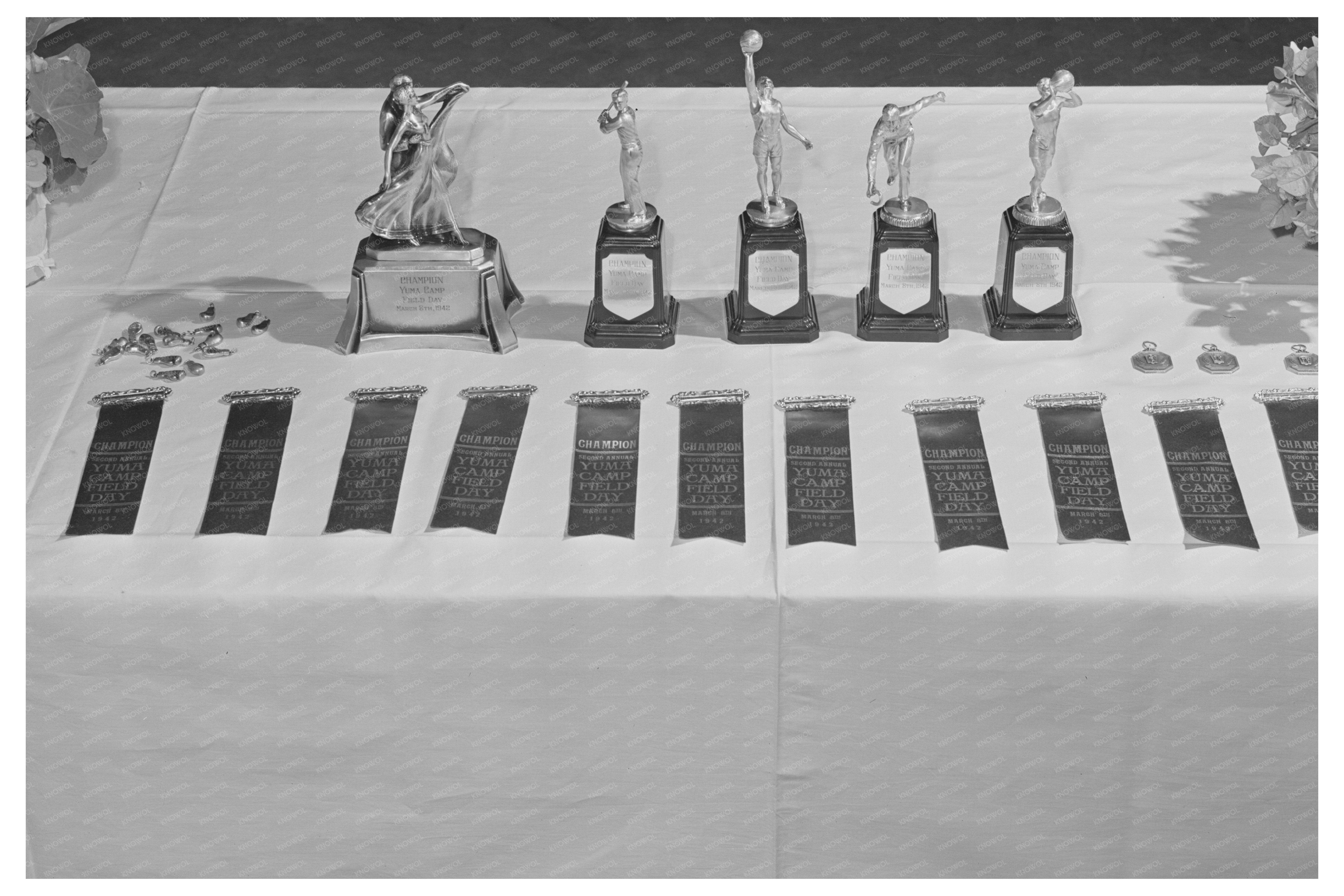 Yuma Arizona Field Day Medals and Ribbons March 1942