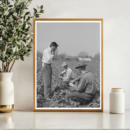 1942 Vintage Photo of Farmers in Los Angeles California