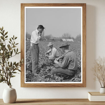 1942 Vintage Photo of Farmers in Los Angeles California