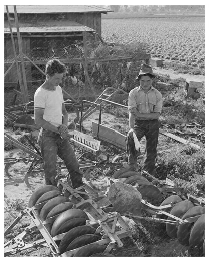 1942 Farmer Examines Equipment Amid Japanese Evacuation