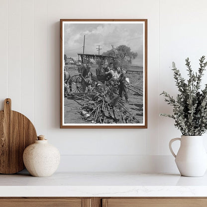 San Juan Bautista Schoolchildren Gather Scrap Metal 1942
