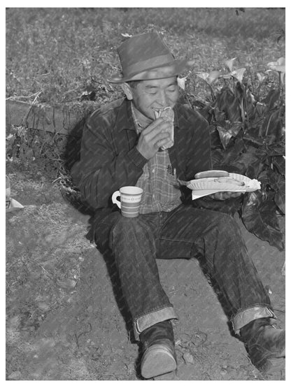 Japanese-American Picnic in San Benito County 1942