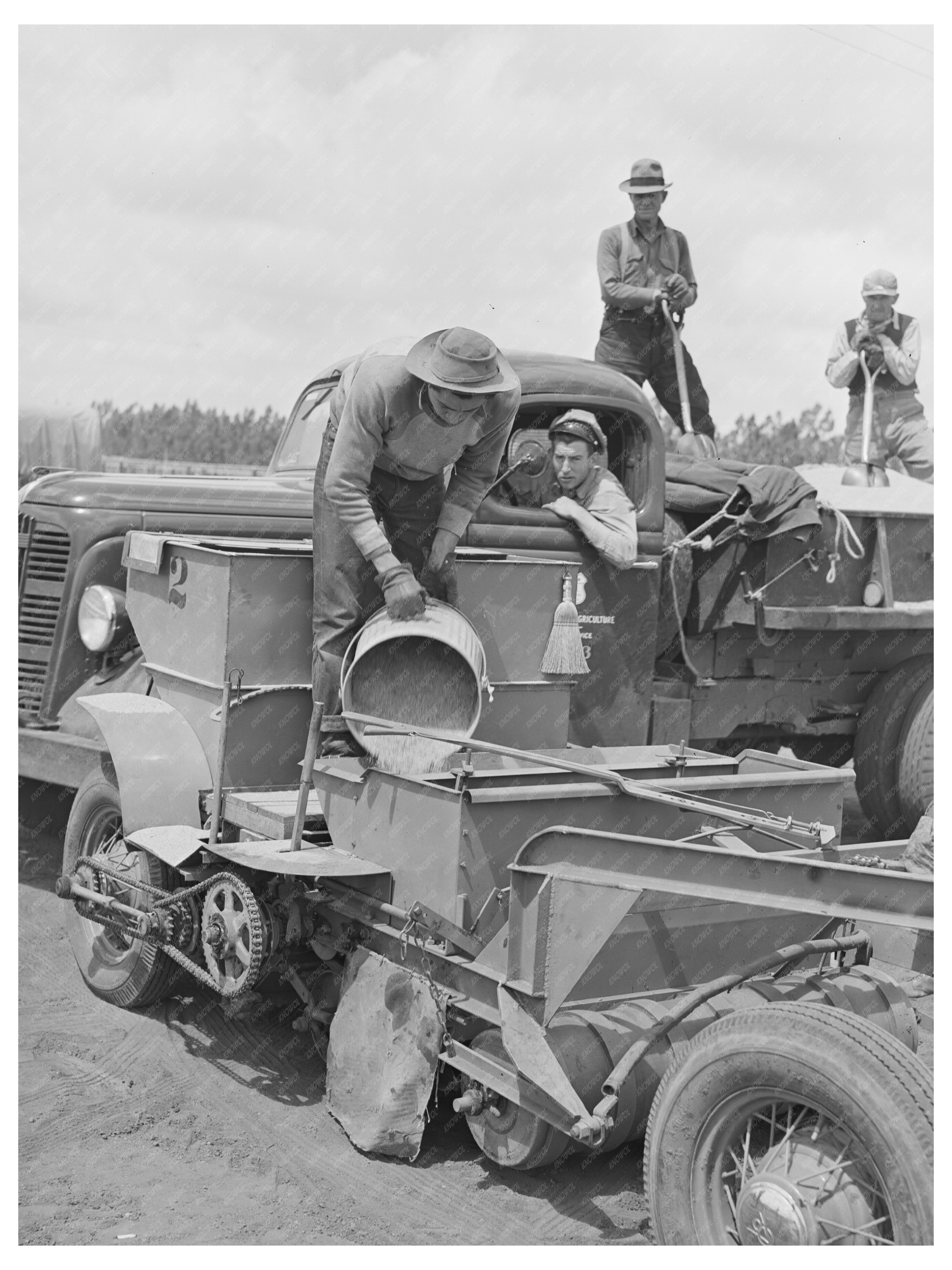 Sawdust Pouring into Guayule Seed in Salinas 1942