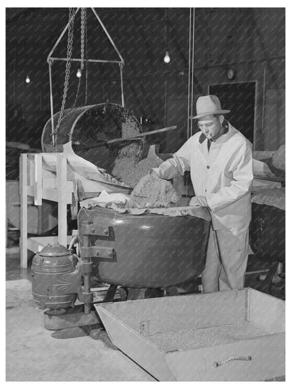 Salinas California Guayule Seed Processing 1942