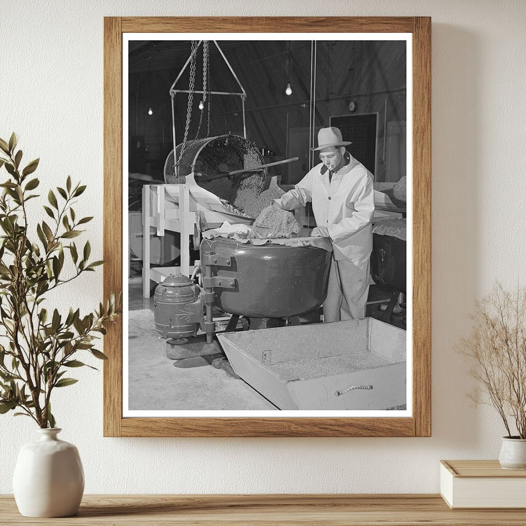 Salinas California Guayule Seed Processing 1942