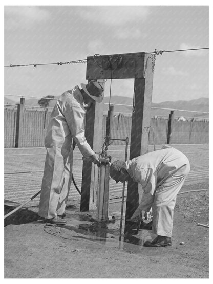 Irrigators in Guayule Nursery Salinas May 1942