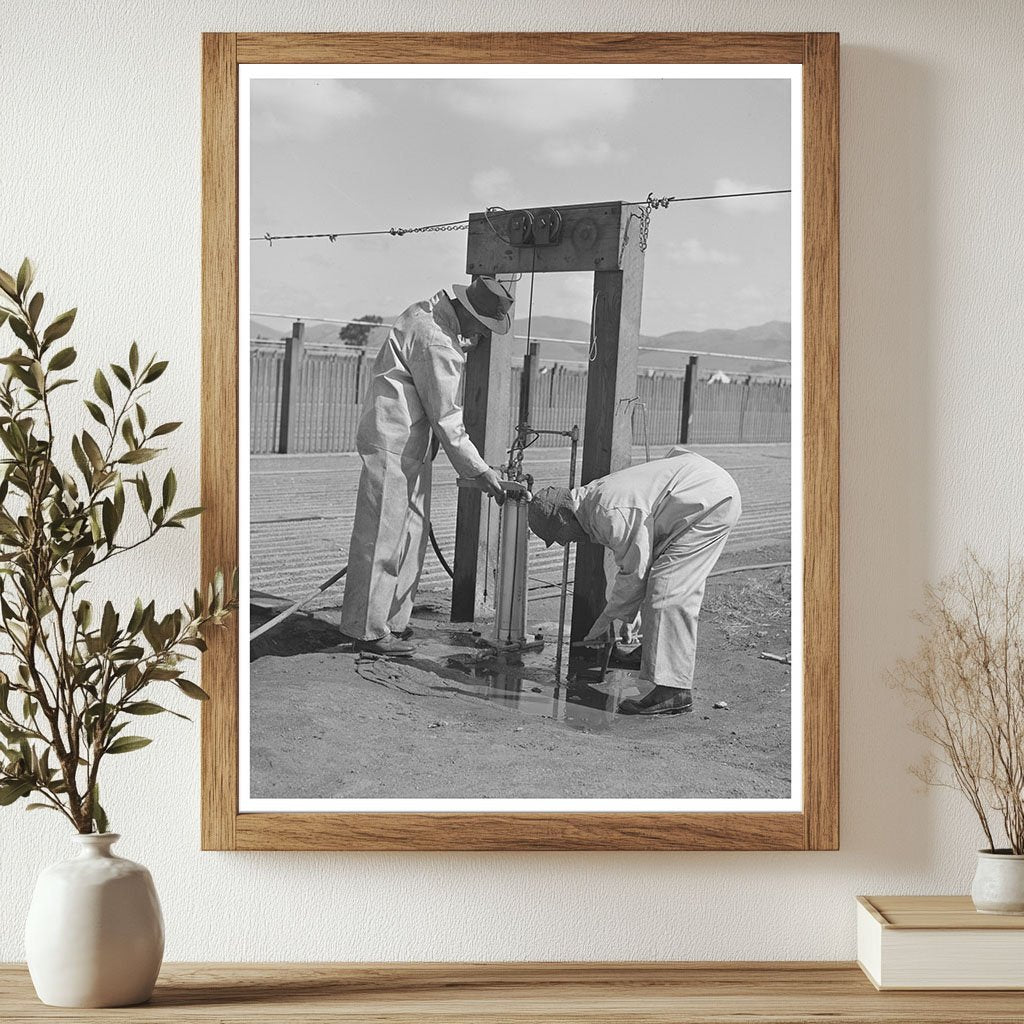 Irrigators in Guayule Nursery Salinas May 1942