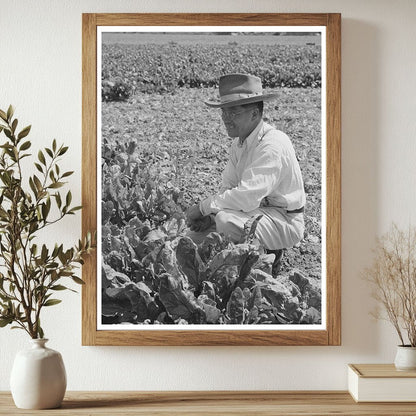 Japanese-American Awaiting Evacuation May 1942