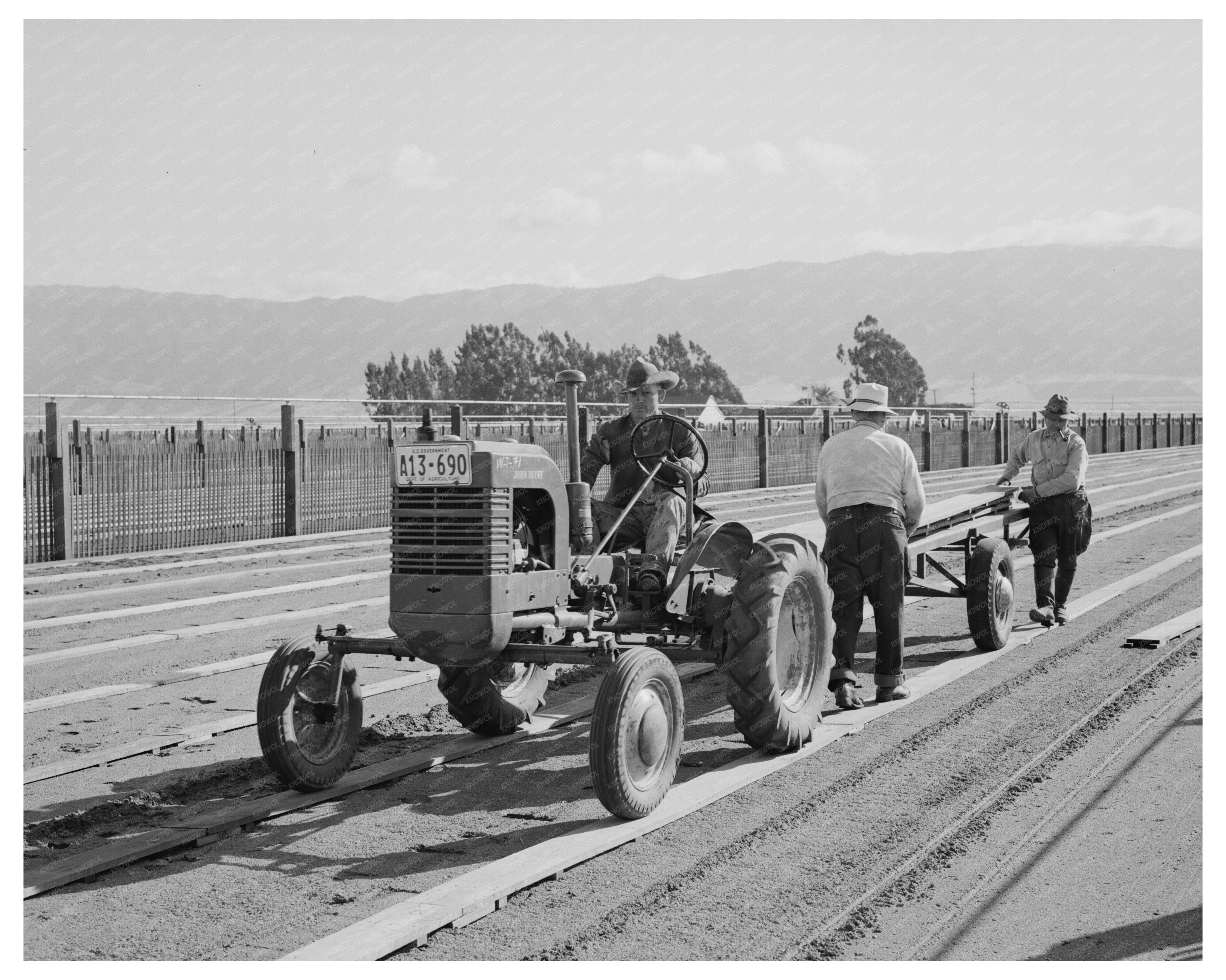 Guayule Nursery Workmen Installing Duckboard May 1942