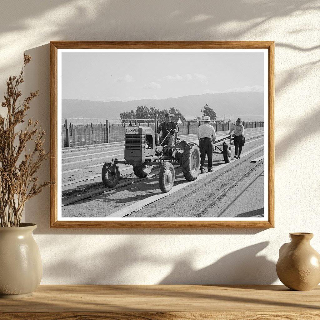 Guayule Nursery Workmen Installing Duckboard May 1942