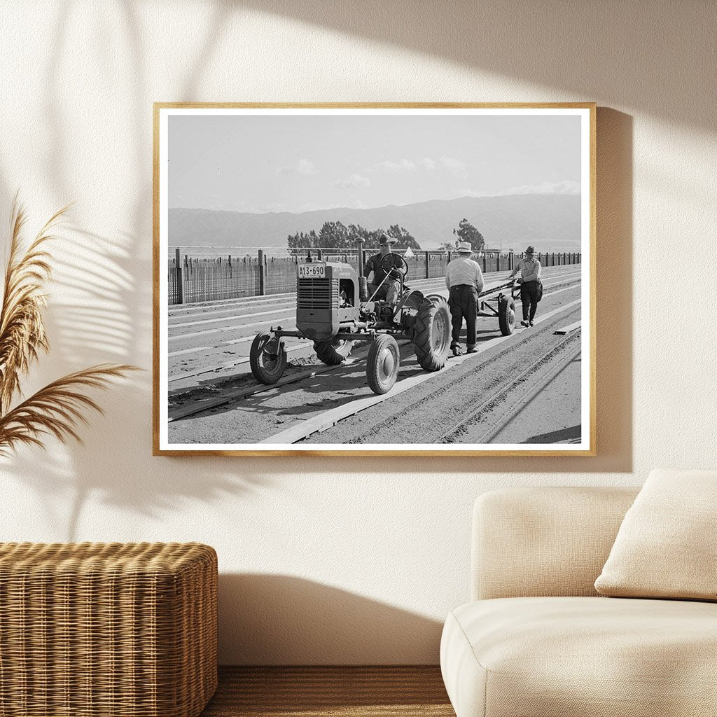 Guayule Nursery Workmen Installing Duckboard May 1942