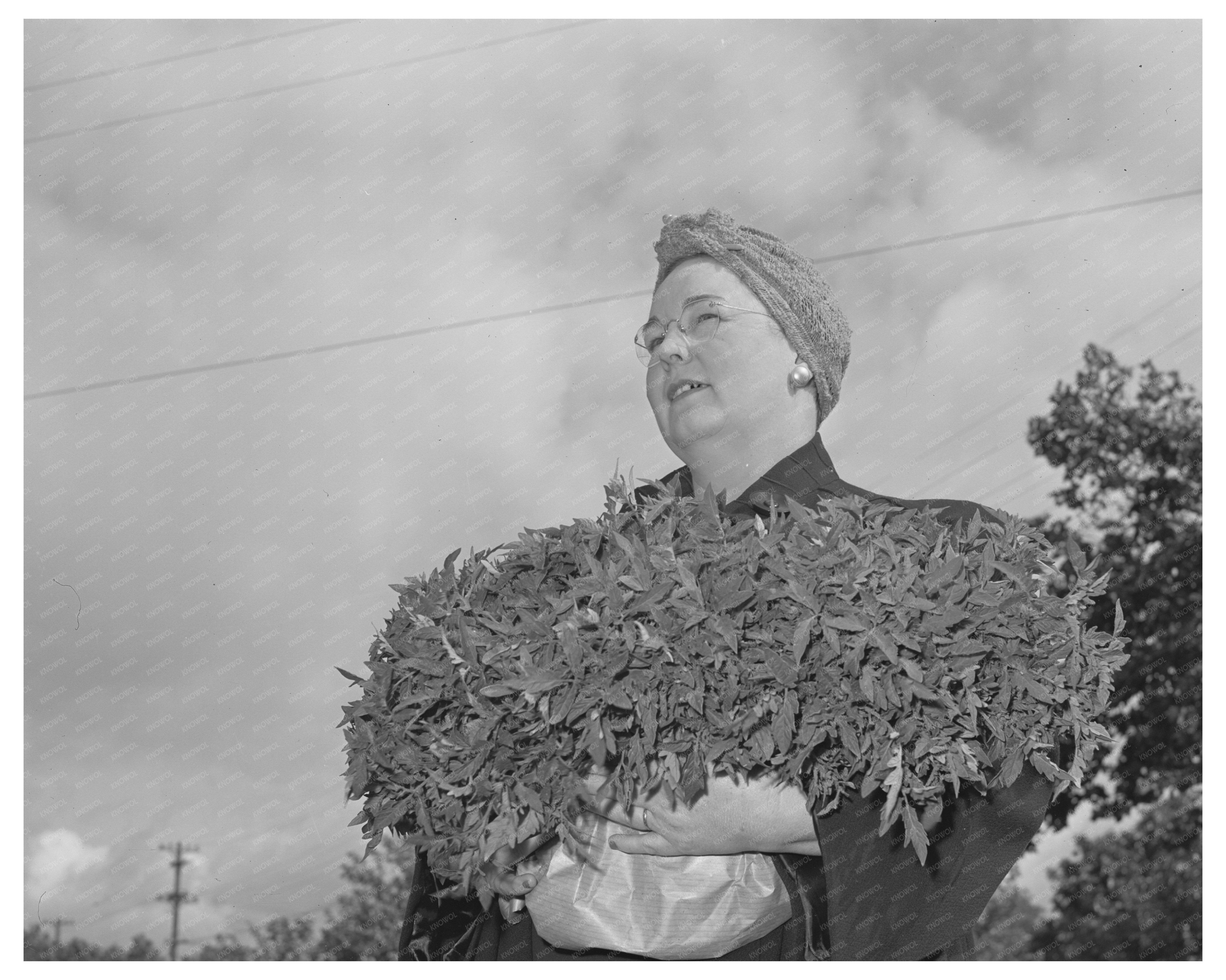 Housewife in Turlock CA with Tomato Plants 1942