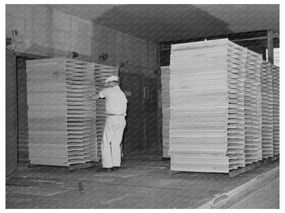 1942 Workers at Turlock Cabbage Dehydrating Plant