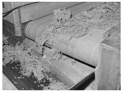 Dehydrated cabbage inspection in Turlock California 1942
