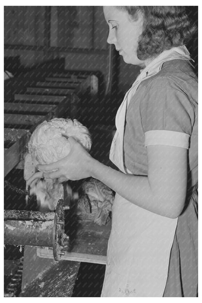 Workers Preparing Cabbages for Dehydration June 1942