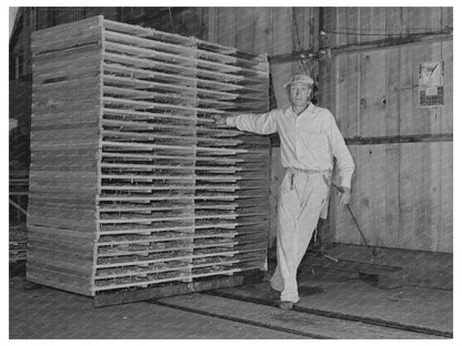 Cabbage Trays in Drying Tunnel Turlock California 1942