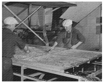 1942 Vintage Turlock Cabbage Drying Plant Workers Image