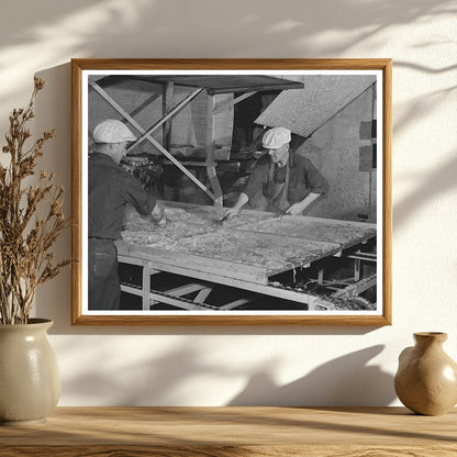 1942 Vintage Turlock Cabbage Drying Plant Workers Image