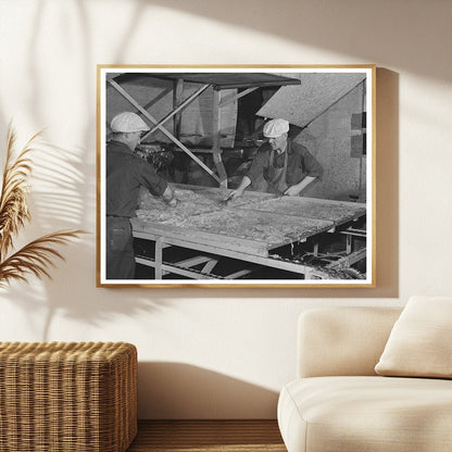 1942 Vintage Turlock Cabbage Drying Plant Workers Image