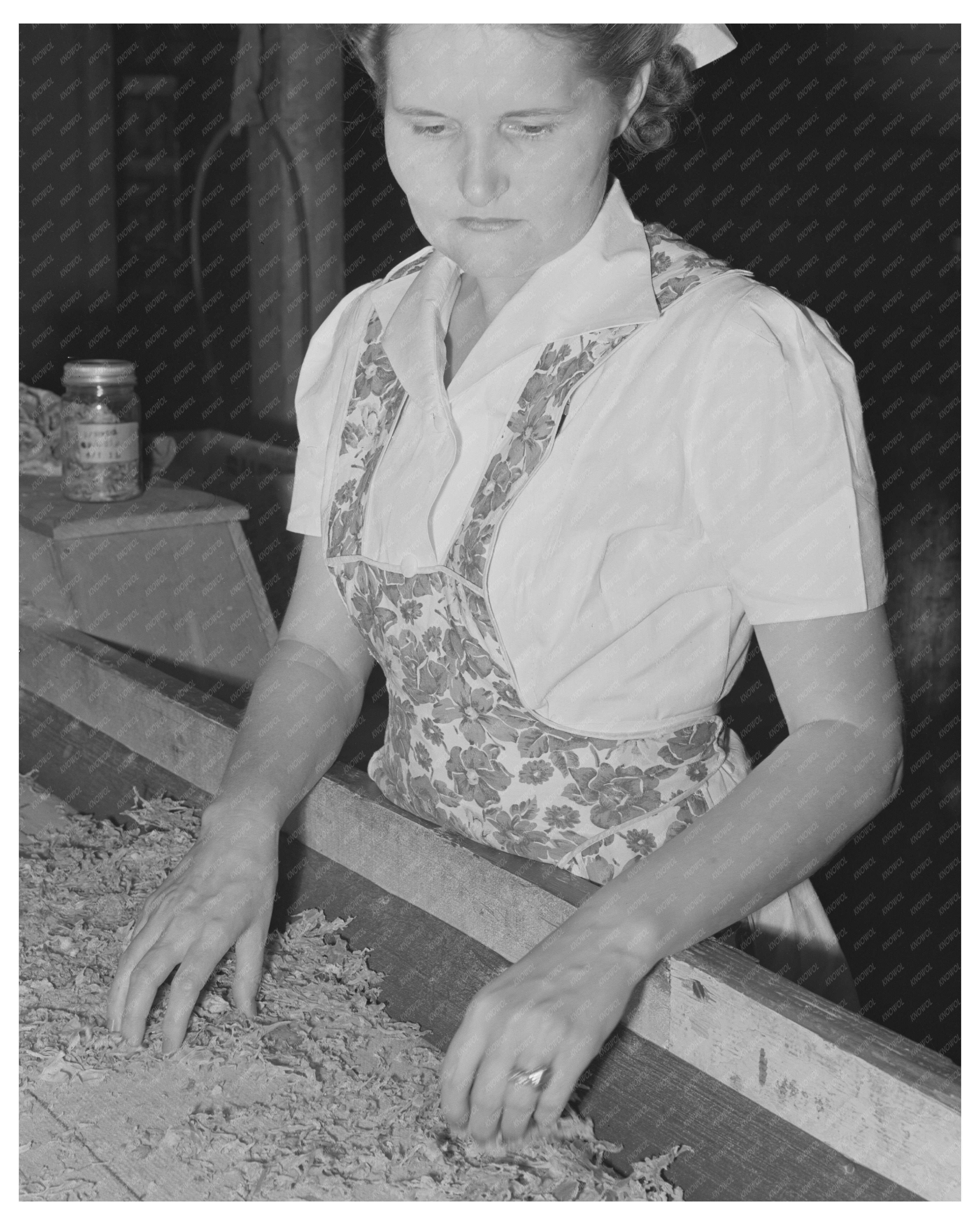 1942 Turlock California Dehydrated Cabbage Inspection Scene