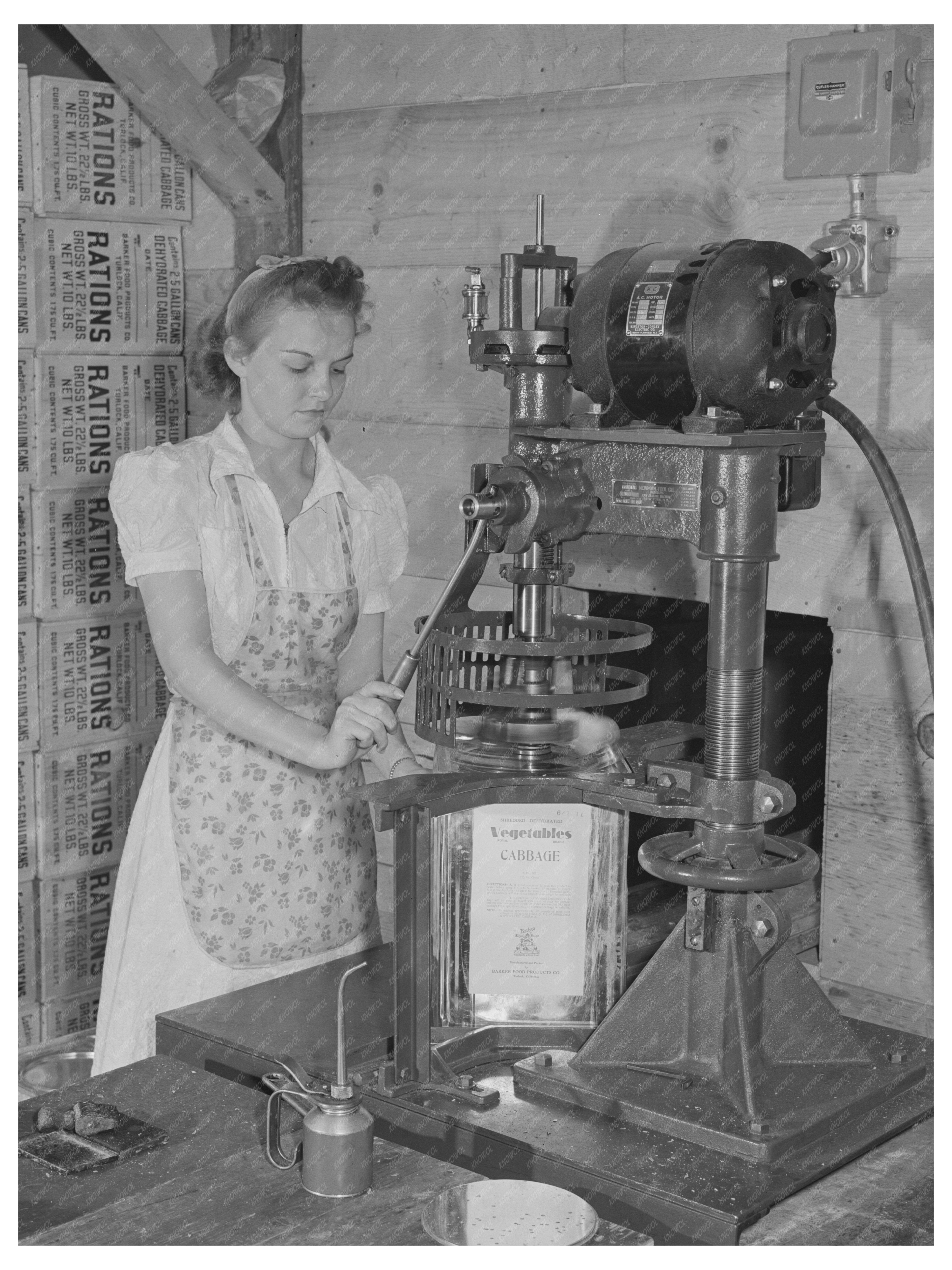 Hermetically Sealing Cans of Dehydrated Cabbage 1942