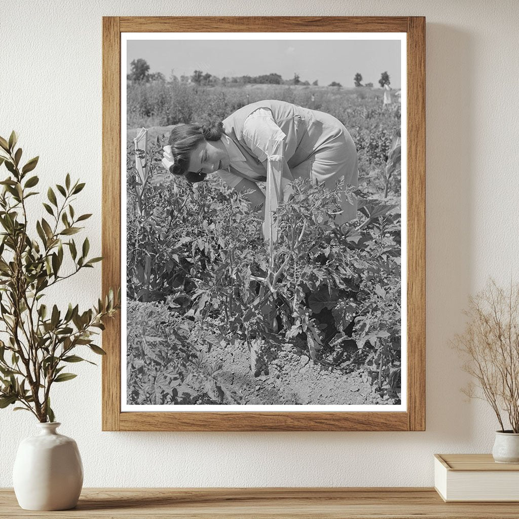 Mrs. Zenith Prothero Weeding Tomatoes Yuba City 1942