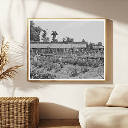 Farm Workers Tending Garden in Yuba City California 1942