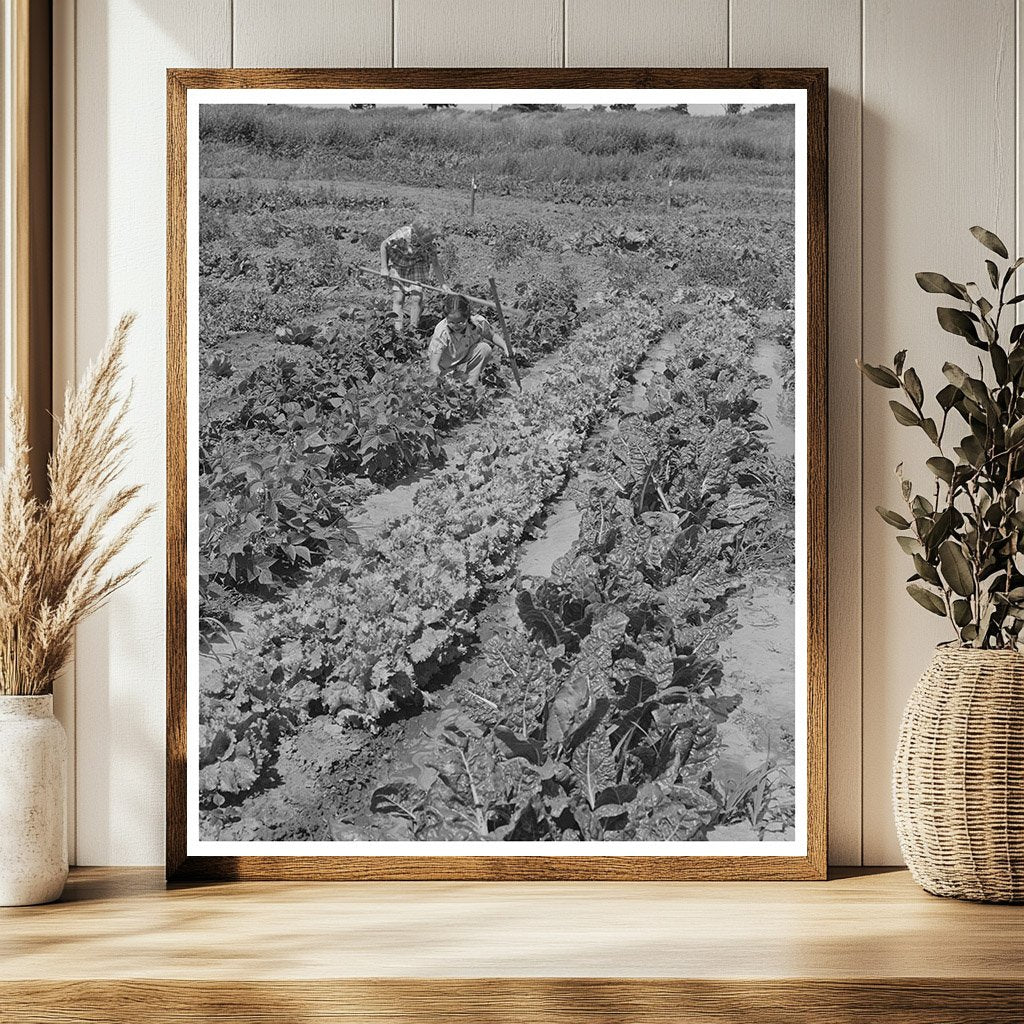 Children Working in Community Gardens Yuba City 1942