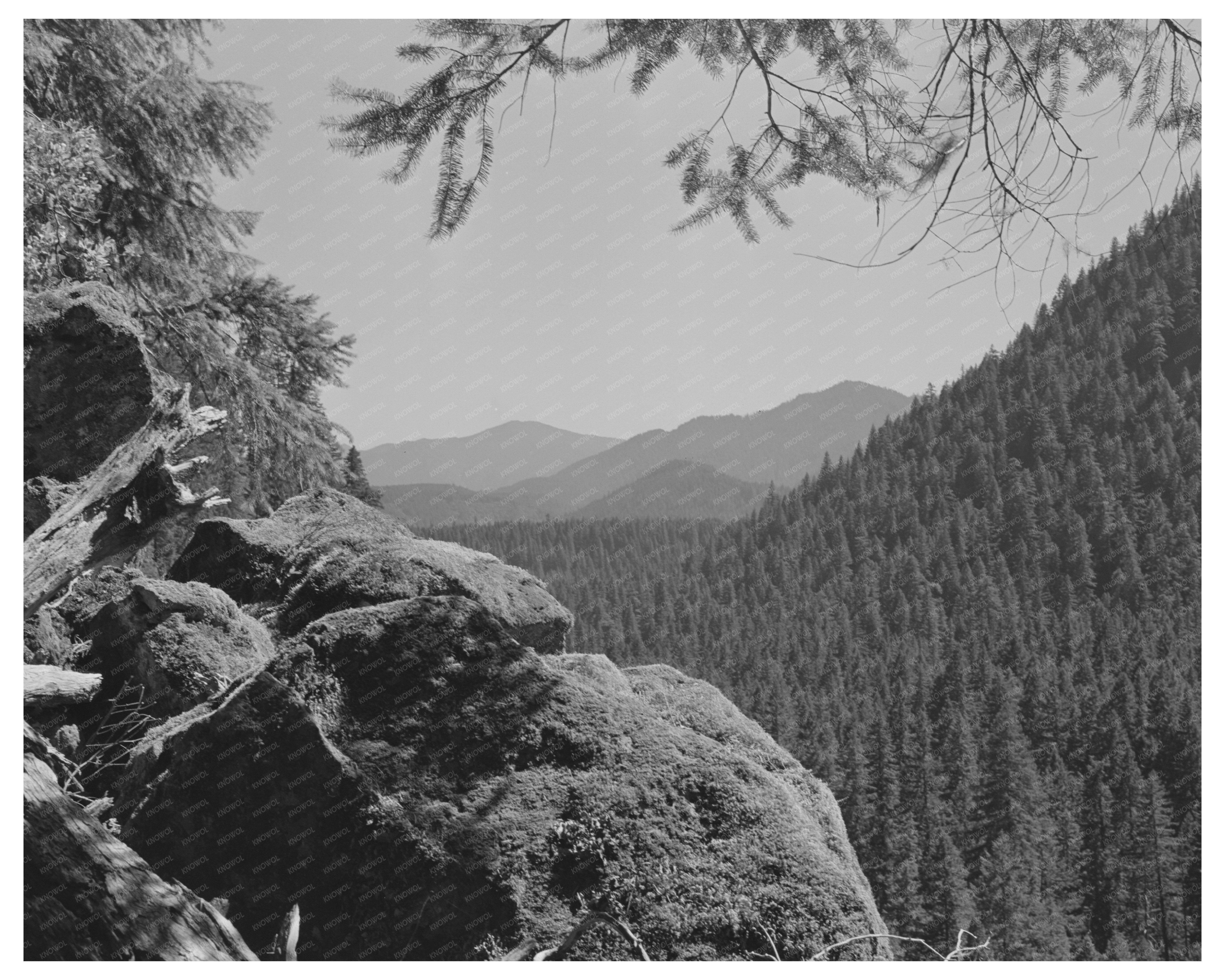 Willamette National Forest Mountain Ranges July 1942