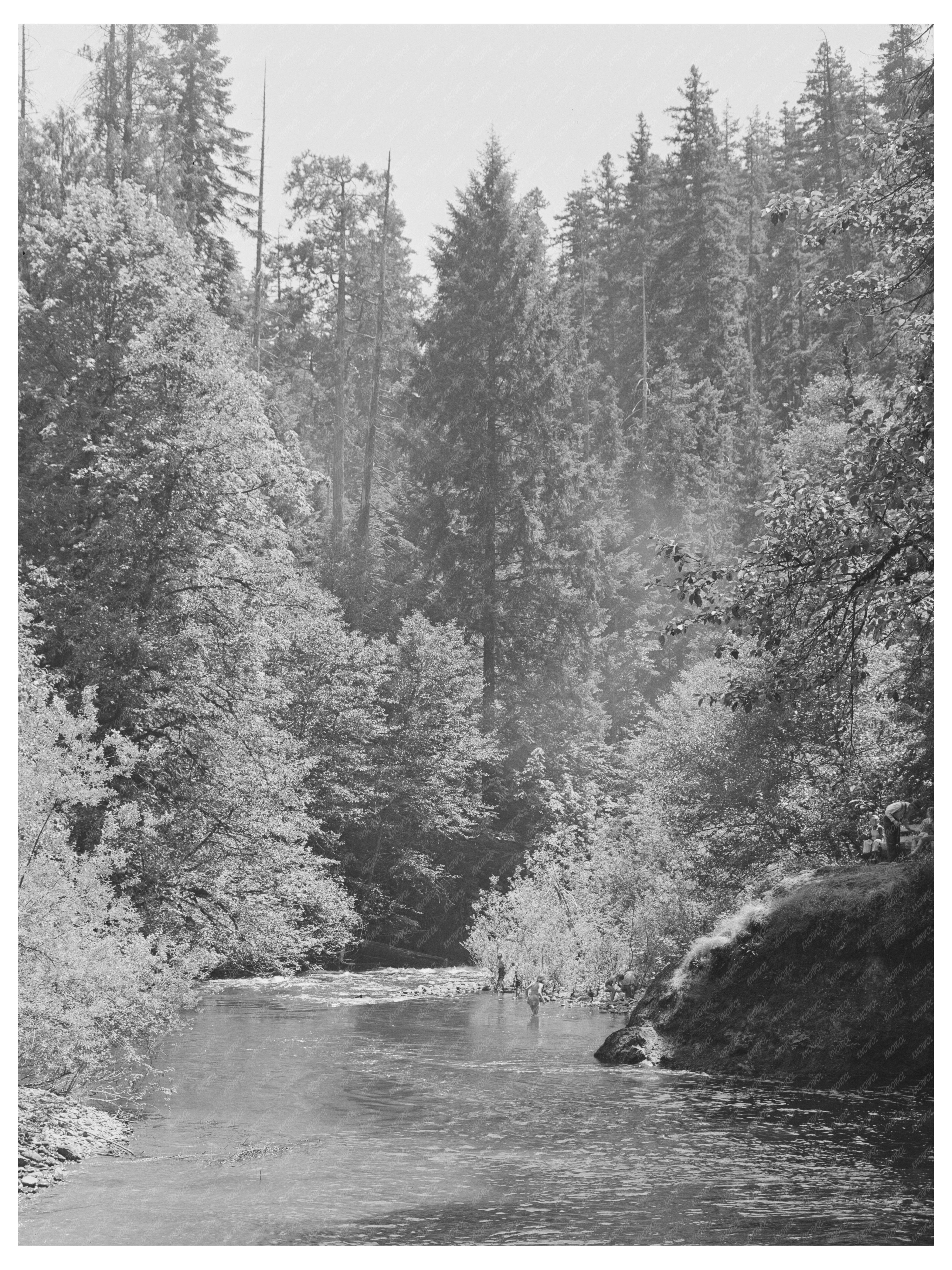 Blue Pool Forest Camp Lane County Oregon 1942