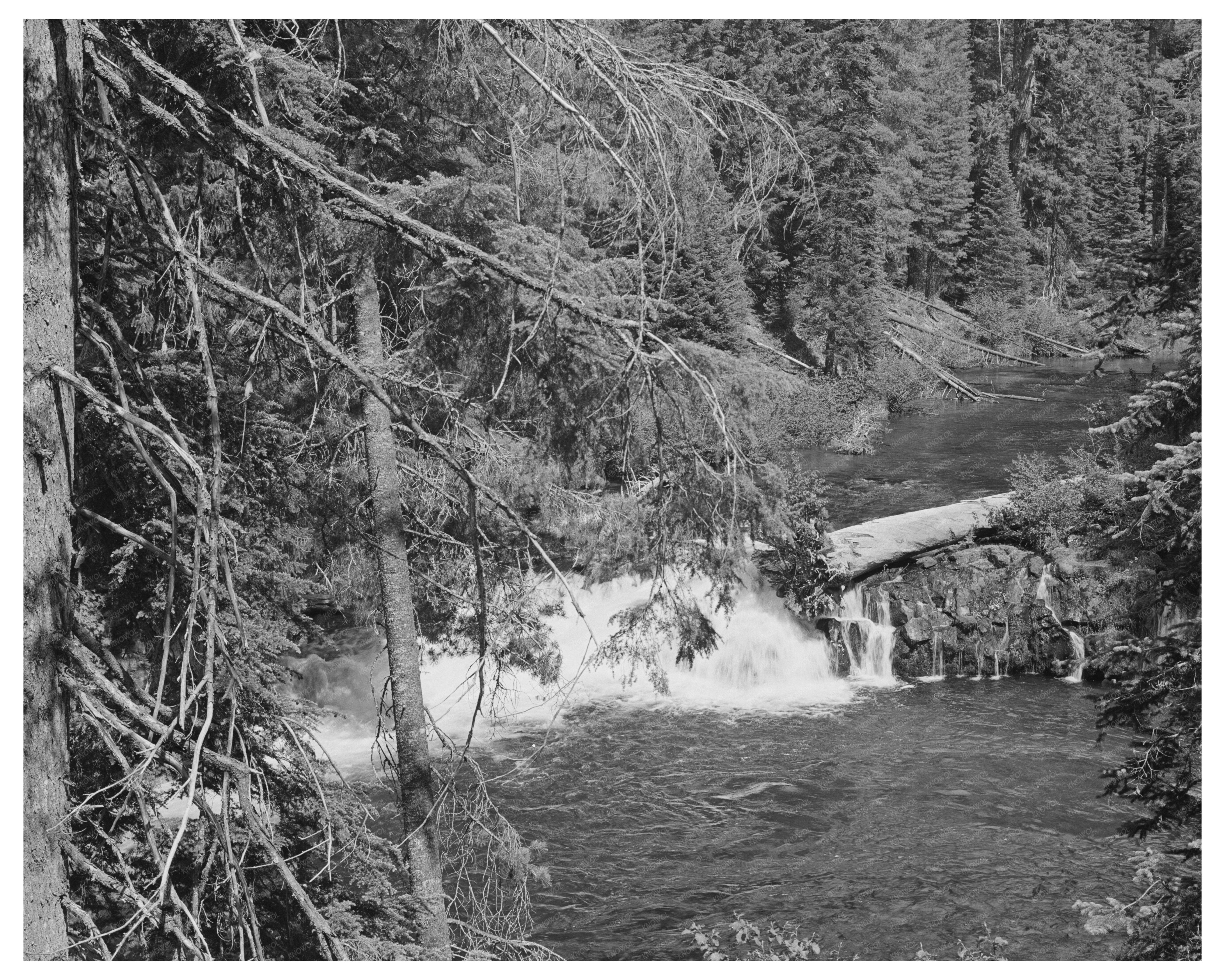 Rogue River National Forest July 1942 Scenic View