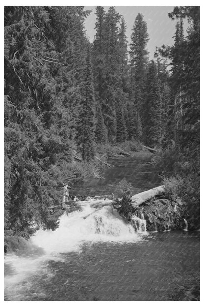 Rogue River National Forest Landscape July 1942