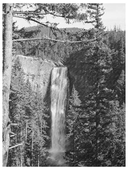 Salt Creek Falls Vintage Image July 1942 Oregon Nature