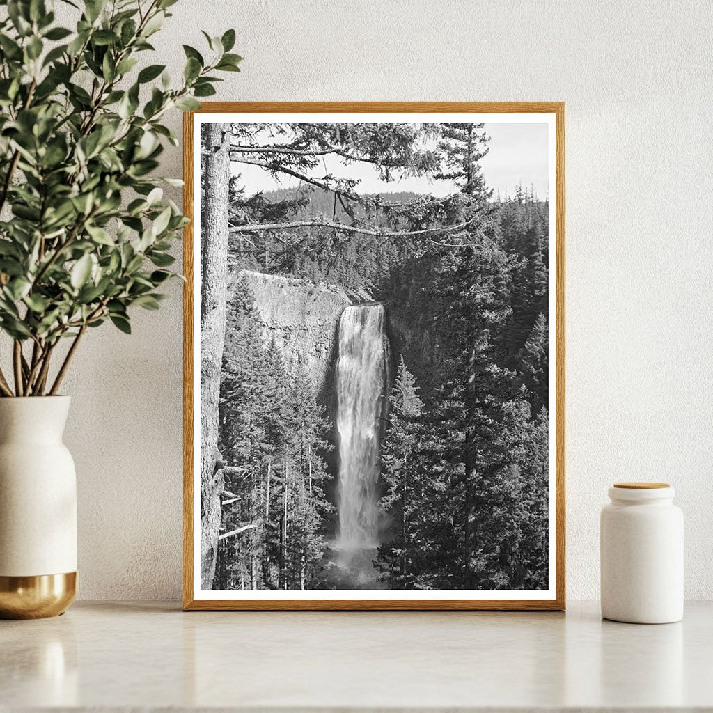 Salt Creek Falls Vintage Image July 1942 Oregon Nature