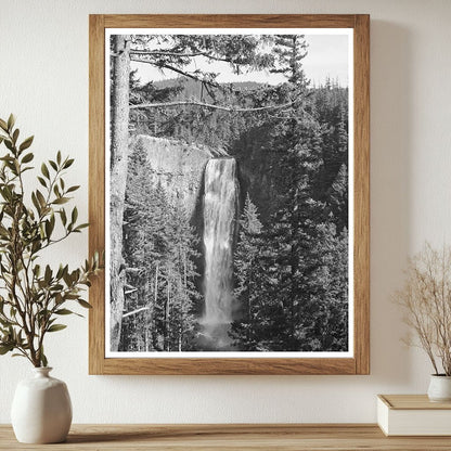 Salt Creek Falls Vintage Image July 1942 Oregon Nature