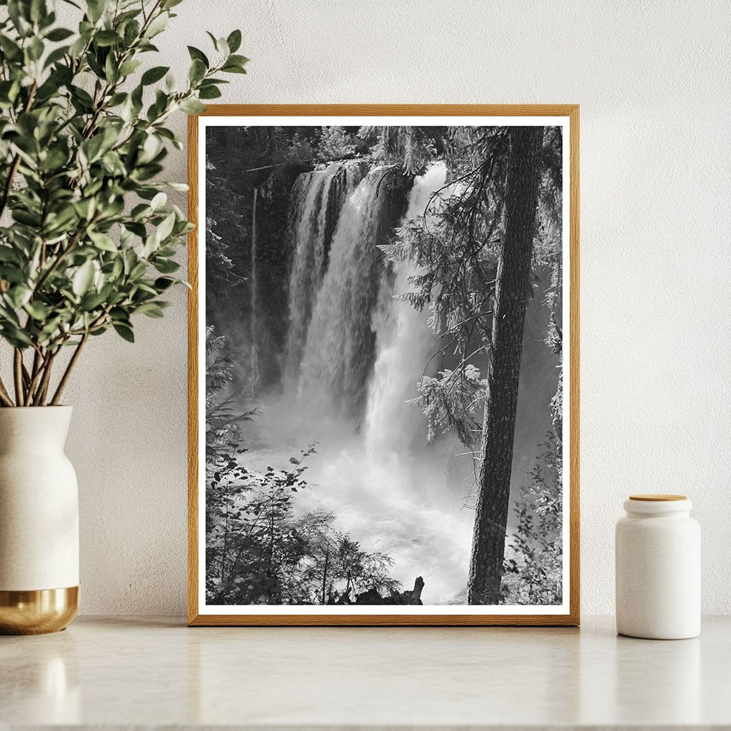 Tamolitsh Falls McKenzie River Oregon July 1942