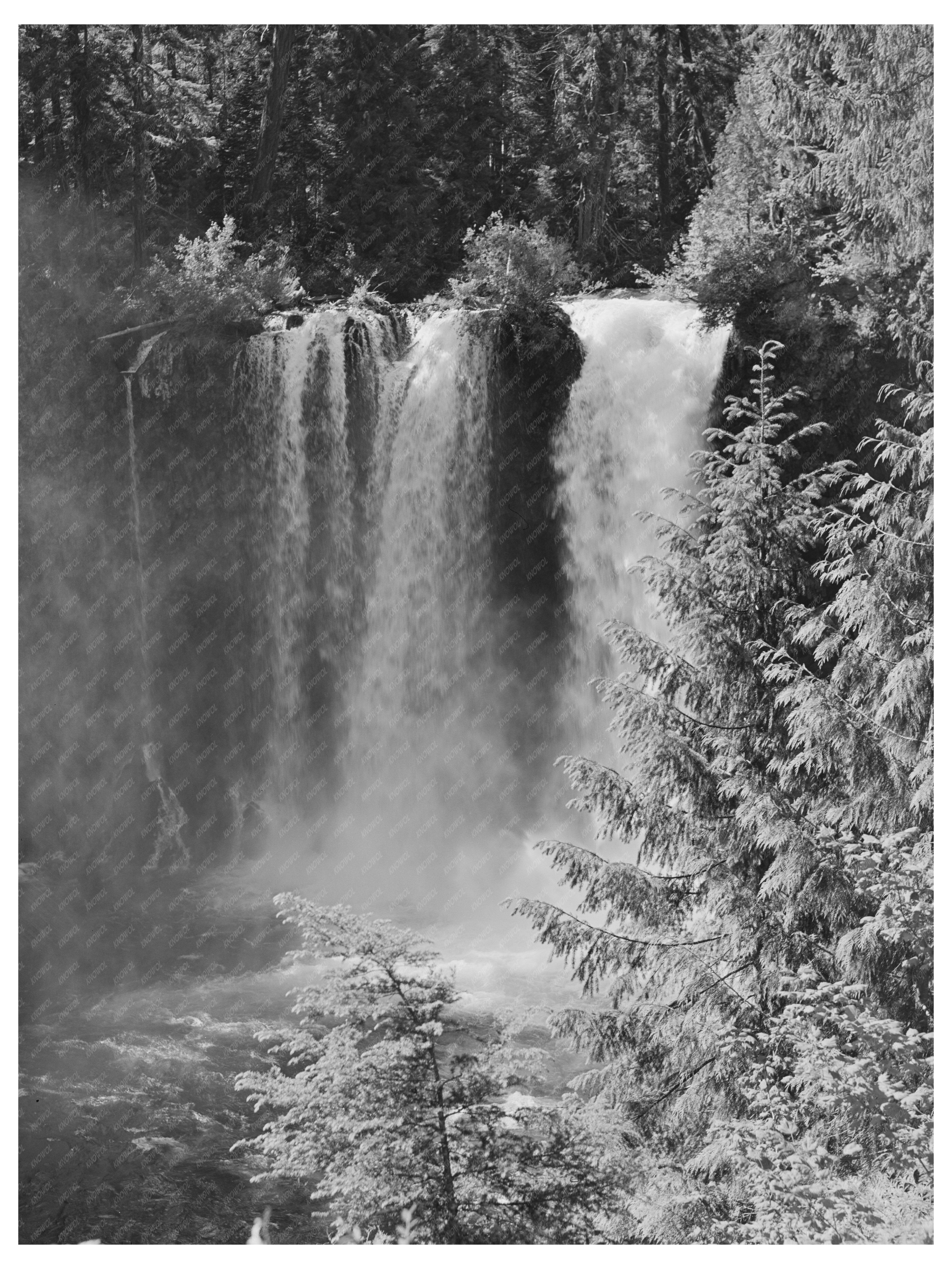 Tamolitsh Falls Willamette National Forest Oregon 1942