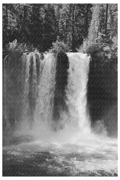 Tamolitch Falls McKenzie River Oregon July 1942