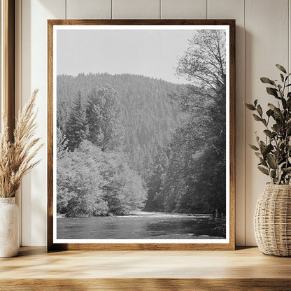 Vintage 1942 Photograph of Belknap Springs Oregon Landscape