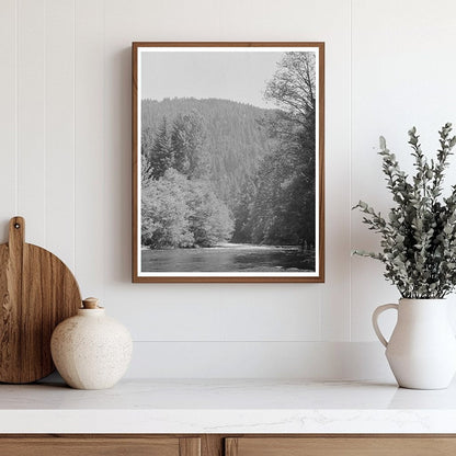 Vintage 1942 Photograph of Belknap Springs Oregon Landscape